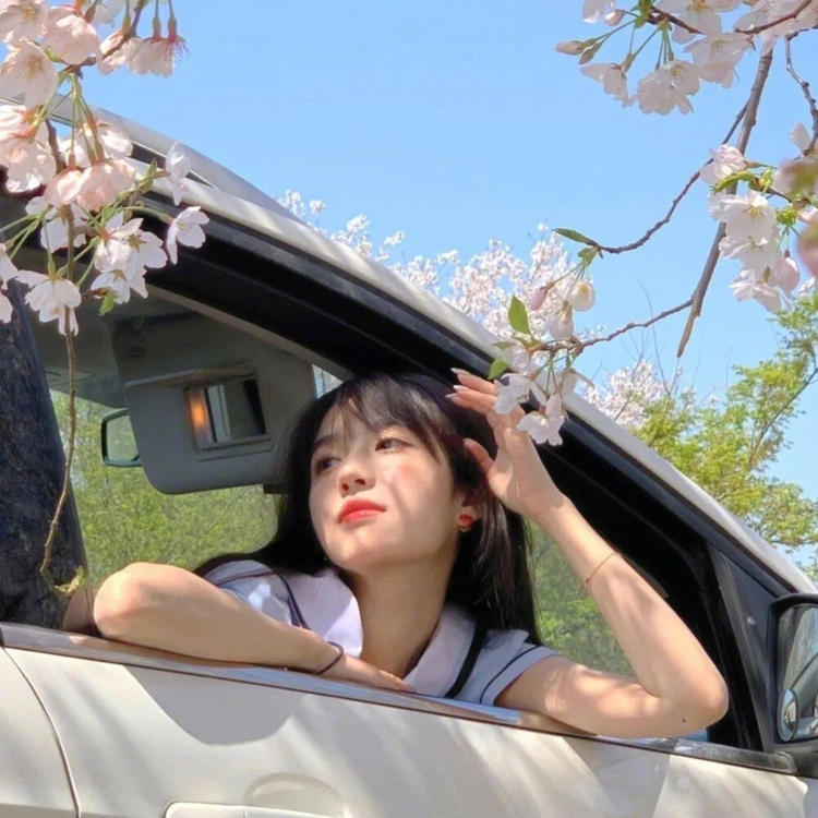 横山广行 - 独家综艺节目在线观看 - 小程序看剧
